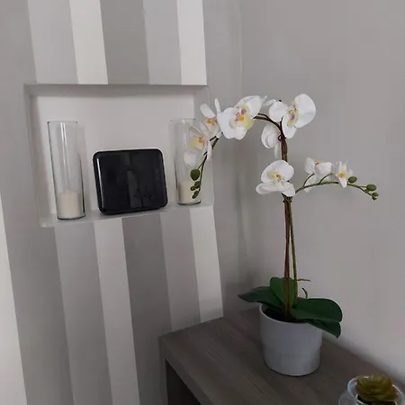 Piccolpasso 20 * Urbania